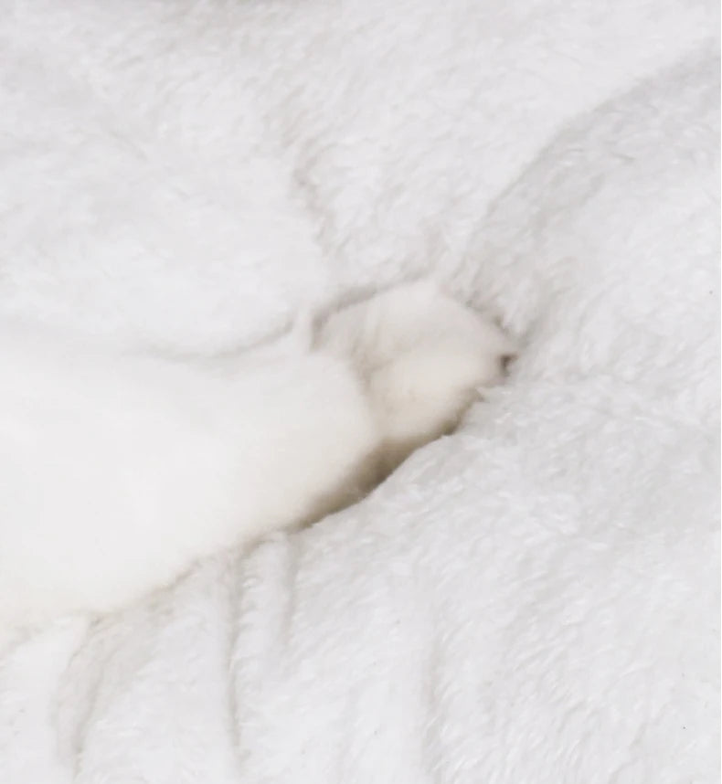 Semi-Enclosed Pet Cave Bed